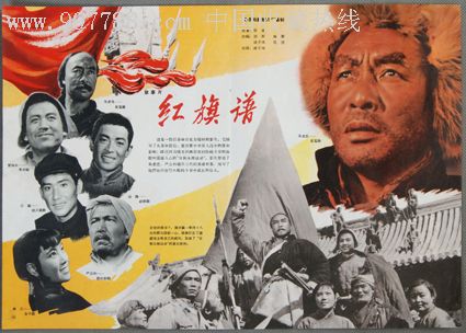 学历证书编号指的是注册证号吗